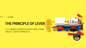 The principle of lever